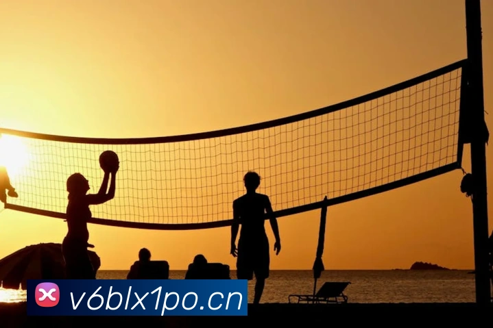 乐鱼官网入口首页APP 体育赛事宣传图